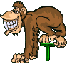 Affe-02-T.gif