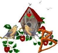 Apple-Bird-House-B.jpg