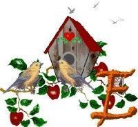 Apple-Bird-House-E.jpg