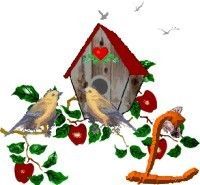 Apple-Bird-House-L.jpg