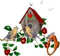 Apple-Bird-House-O.jpg