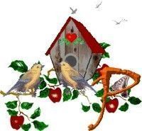 Apple-Bird-House-P.jpg