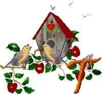 Apple-Bird-House-T.jpg