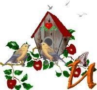 Apple-Bird-House-U.jpg