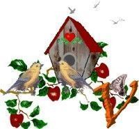 Apple-Bird-House-V.jpg