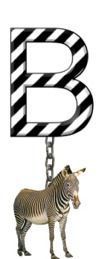 B-Zebra-Charm_ccnan.jpg