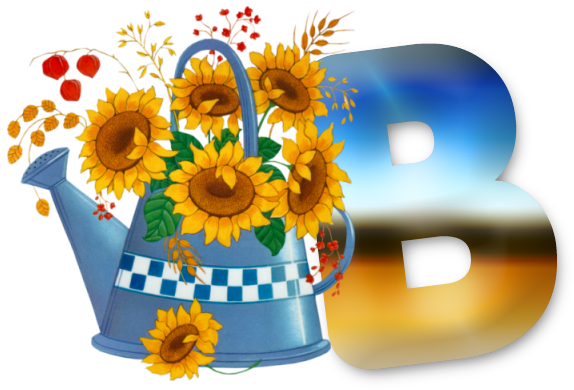 B-lg.png
