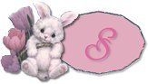 BT~Bunny-S.jpg
