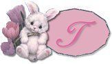 BT~Bunny-T.jpg