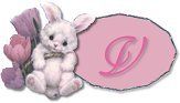 BT~Bunny-V.jpg
