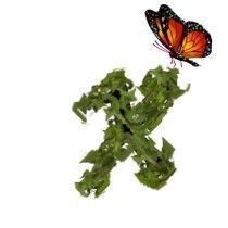 BUTTERFLY-VINE-X.jpg