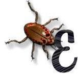 Beetle_E.jpg