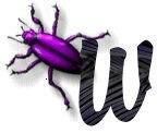 Beetle_W.jpg