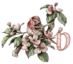 Bird-on-Dogwood-Limb-Alpha-by-iRiS-D.gif