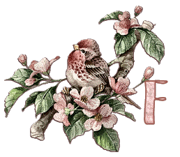 Bird-on-Dogwood-Limb-Alpha-by-iRiS-F.gif