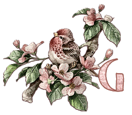 Bird-on-Dogwood-Limb-Alpha-by-iRiS-G.gif