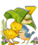 Birdduck-26.gif