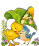 Birdduck-27.gif