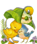 Birdduck-28.gif