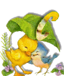 Birdduck-29.gif