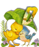 Birdduck-30.gif