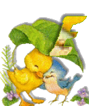 Birdduck-31.gif
