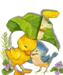 Birdduck-32.gif