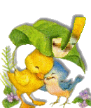 Birdduck-36.gif