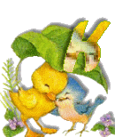 Birdduck-37.gif
