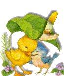 Birdduck-38.gif