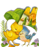 Birdduck-39.gif