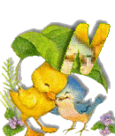 Birdduck-40.gif