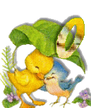 Birdduck-41.gif