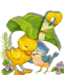 Birdduck-42.gif