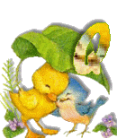 Birdduck-43.gif