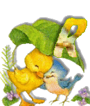 Birdduck-44.gif
