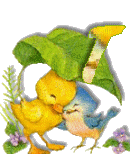 Birdduck-46.gif