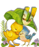 Birdduck-47.gif