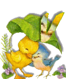 Birdduck-48.gif