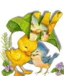 Birdduck-49.gif
