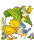 Birdduck-51.gif