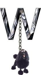 Black-Poodle-Charm_ccnan-23.jpg