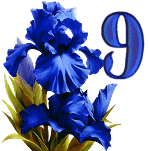 Blue-Iris-10_1.gif