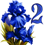 Blue-Iris-3_1.gif