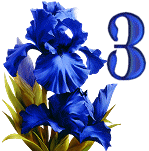 Blue-Iris-4_1.gif