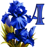 Blue-Iris-5_1.gif