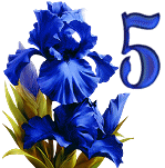 Blue-Iris-6_1.gif