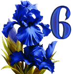 Blue-Iris-7_1.gif