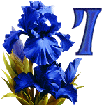 Blue-Iris-8_1.gif