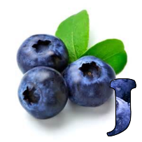 Blueberries-Alpha-2013-J.png